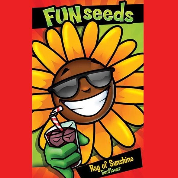 Sunflower Ray of Sunshine - Mr. Fothergill's Seeds - Image 2