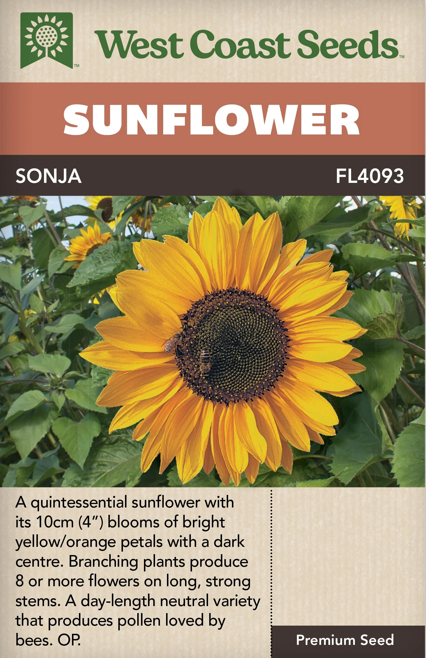 Sunflower Sonja - West Coast Seeds