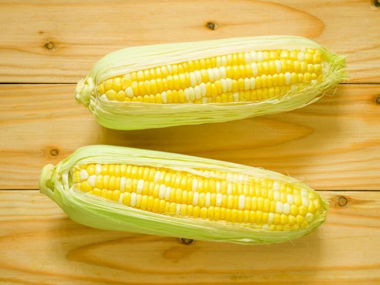 Sweet Corn Bilicious Large - Ontario Seed Company