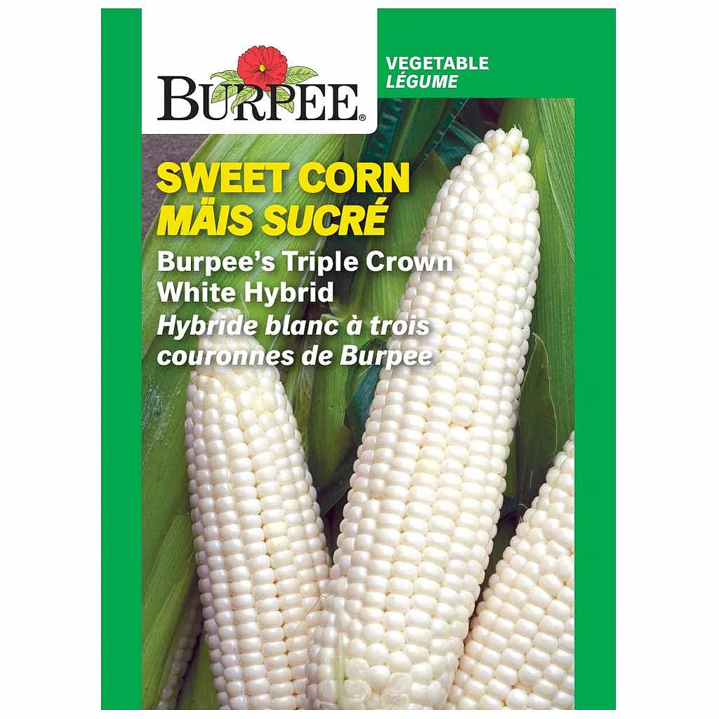 Sweet Corn Burpee's Triple Crown White Hybrid - Burpee Seeds