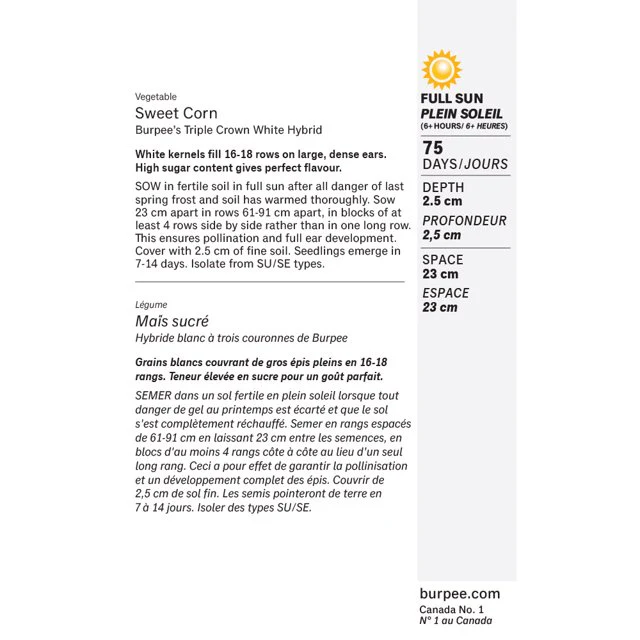 Sweet Corn Burpee's Triple Crown White Hybrid - Burpee Seeds - Image 6