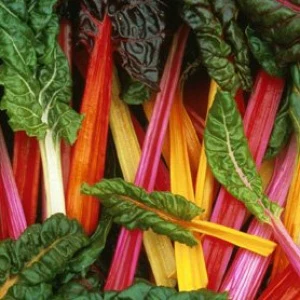 Swiss Chard Bright Lights - West Coast Seeds - Image 2