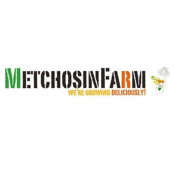 Organic Tomatillo Mix - Metchosin Farm Seeds - Image 2