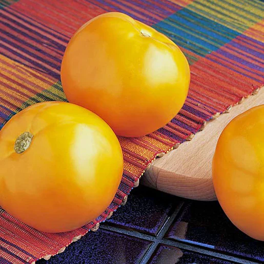 Tomato Carolina Gold - West Coast Seeds - Image 2