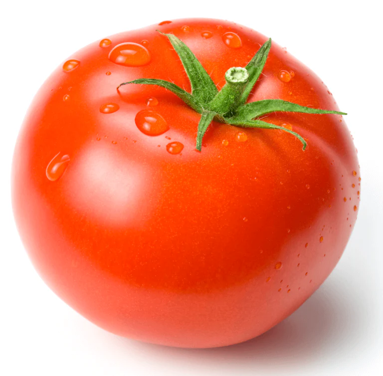 Tomato Manitoba - Ontario Seed Company