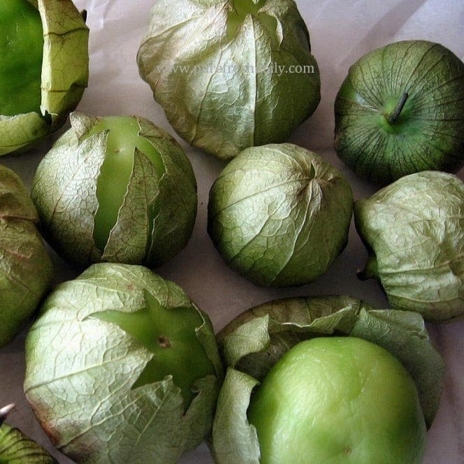 Organic Tomatillo Green - Metchosin Farm Seeds