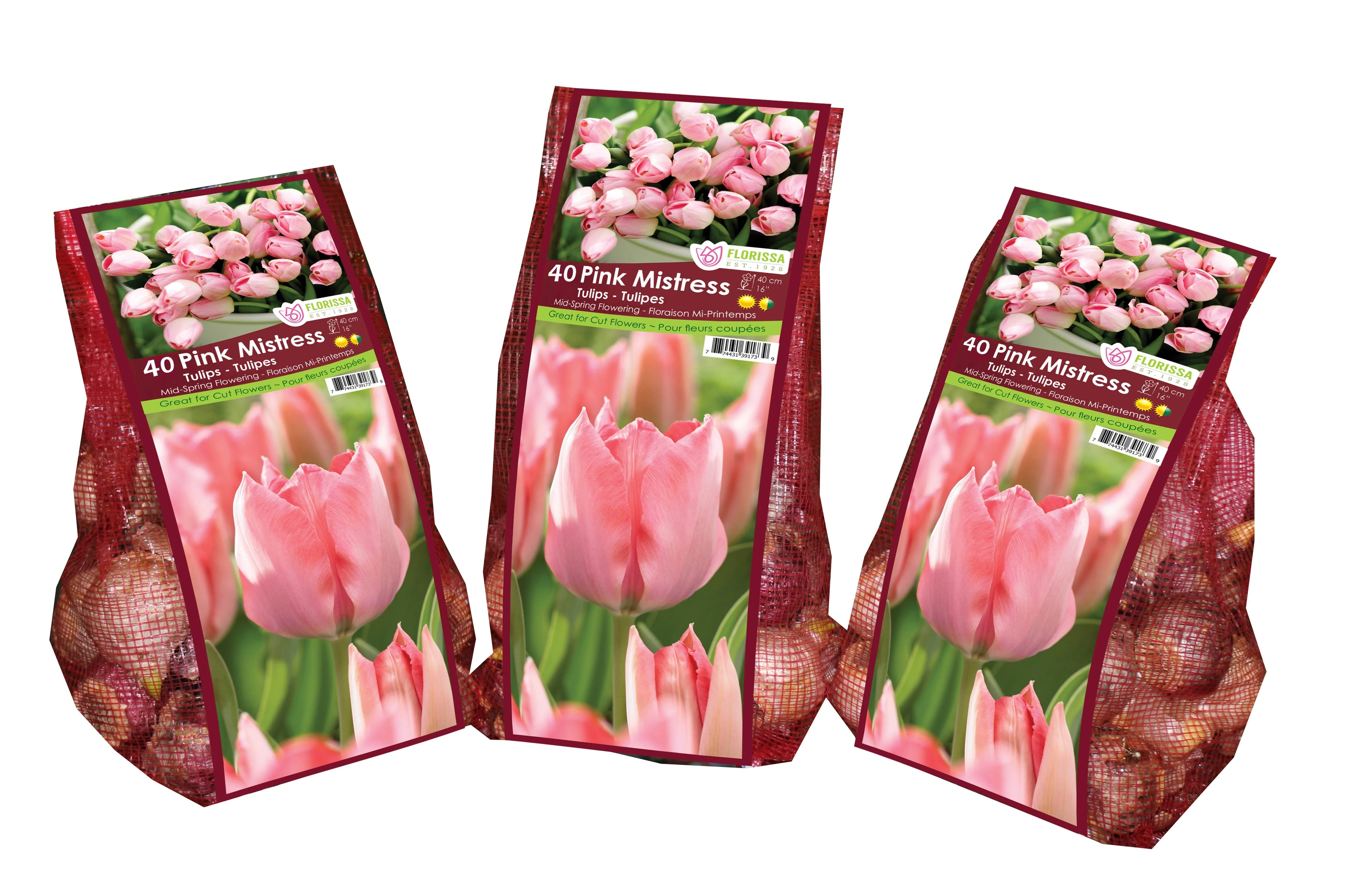 Tulip - Pink Mistress - Mesh Bag, 40 Pack - Image 3
