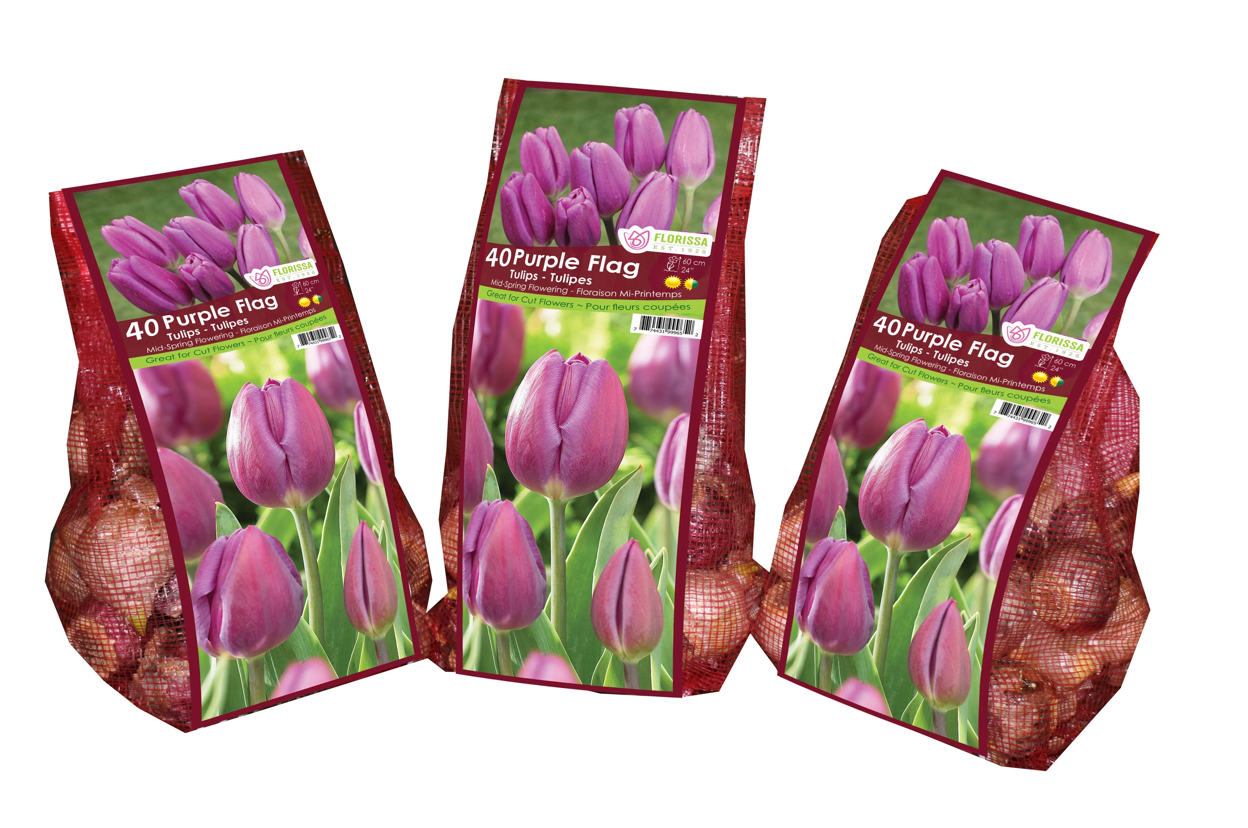 Tulip - Purple Flag - Mesh Bag, 40 Pack - Image 3