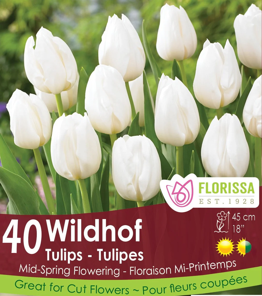 Tulip - Wildhof - Mesh Bag, 40 Pack