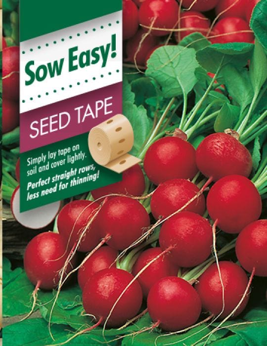 Radish Cherry Belle Seed Tape - Mr. Fothergill's Seeds