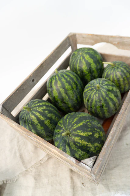 Watermelons Mini Mike - West Coast Seeds - Image 3