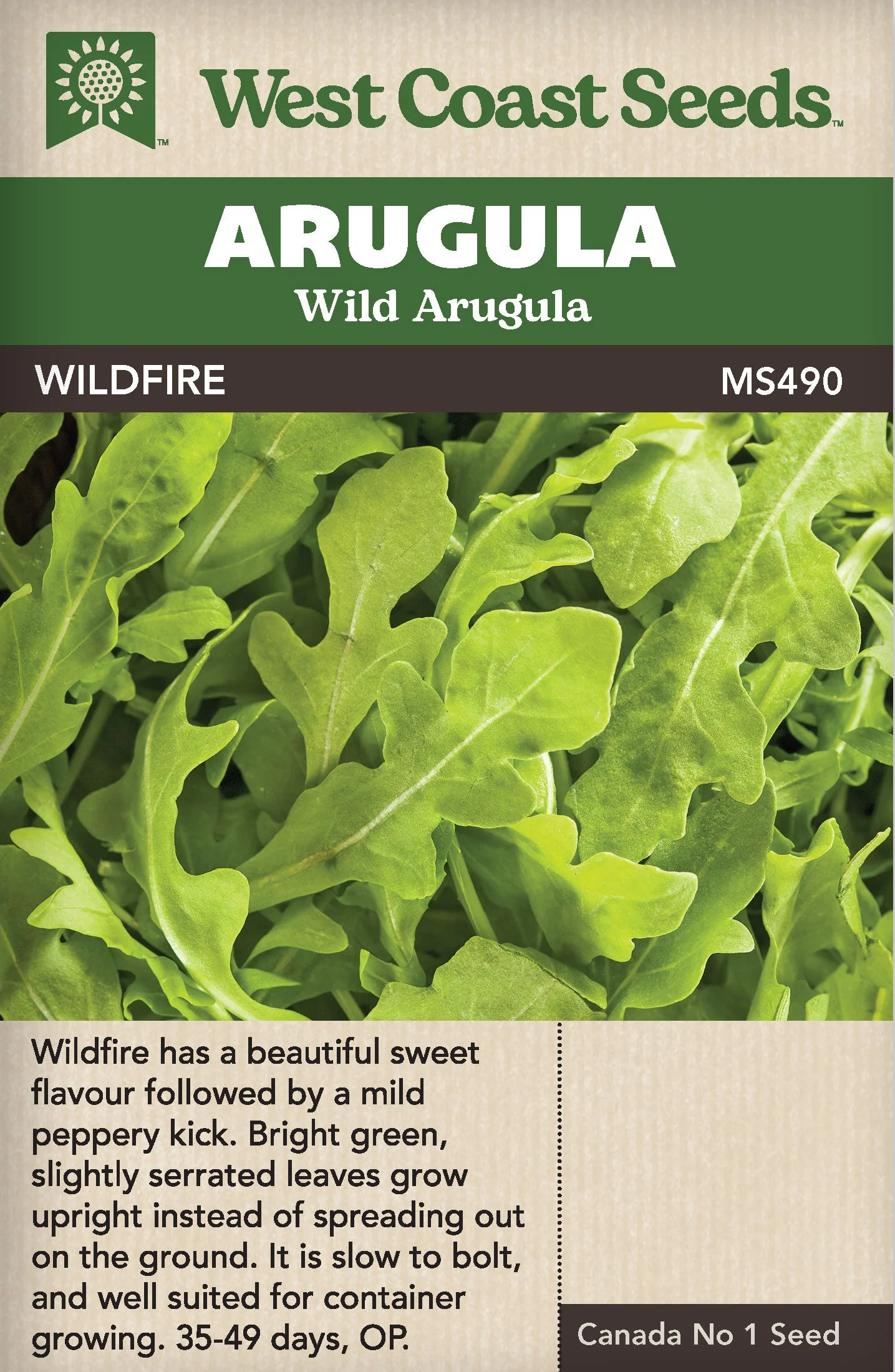 Arugula Wildfire - West Coast Seeds