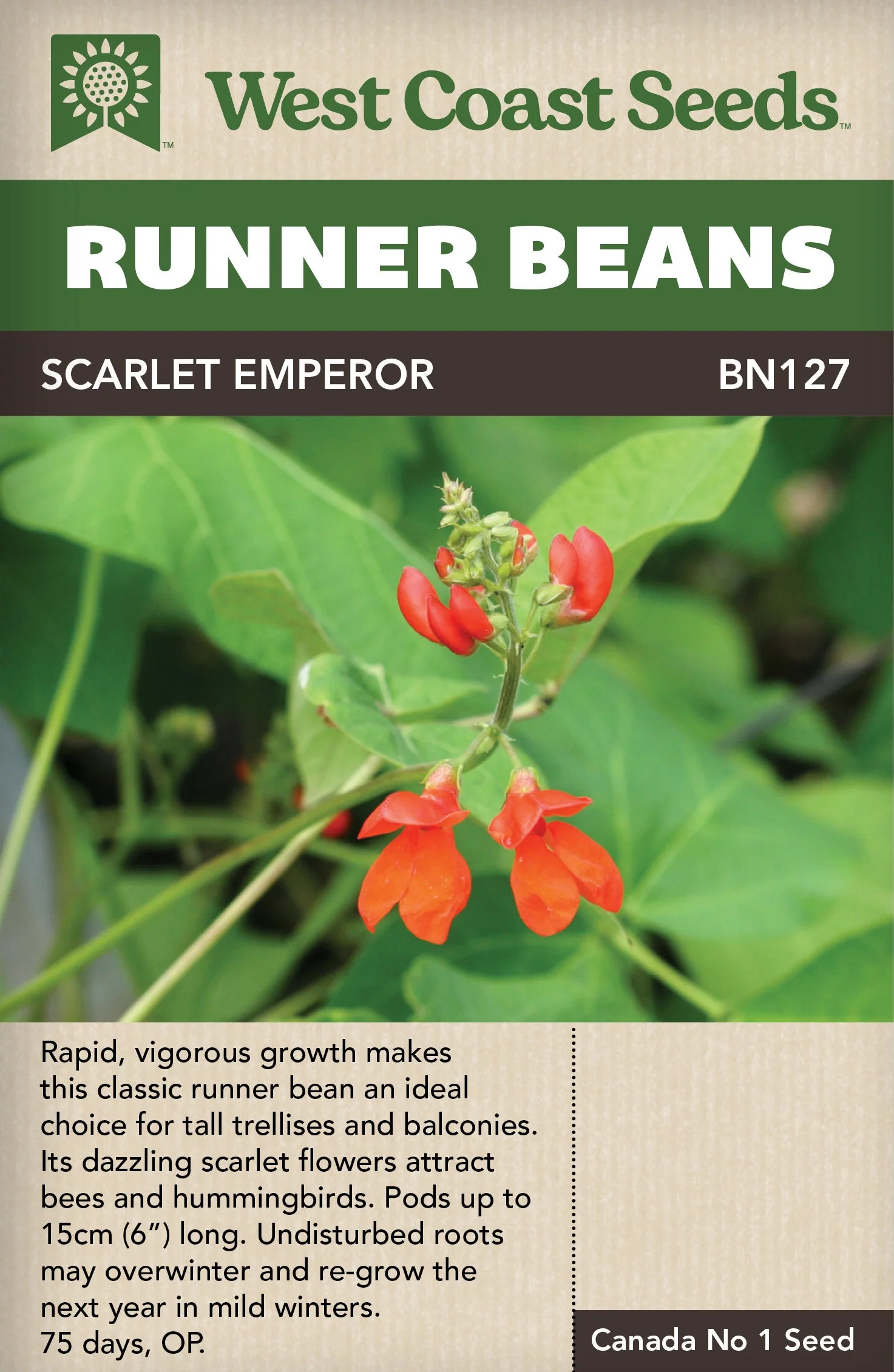 Bean Scarlet Emperor - West Coast Seeds