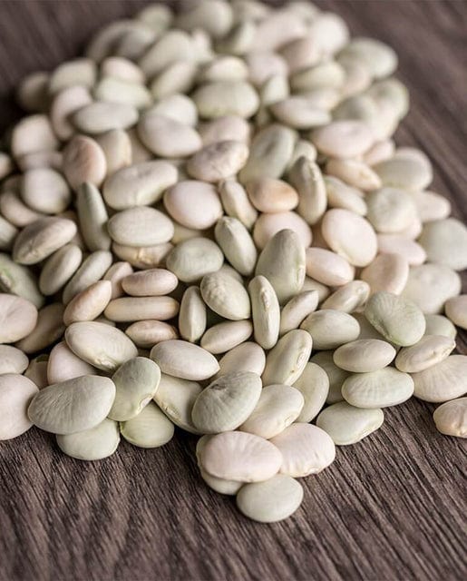 Bean Early Thorogreen Lima - West Coast Seeds - Image 2