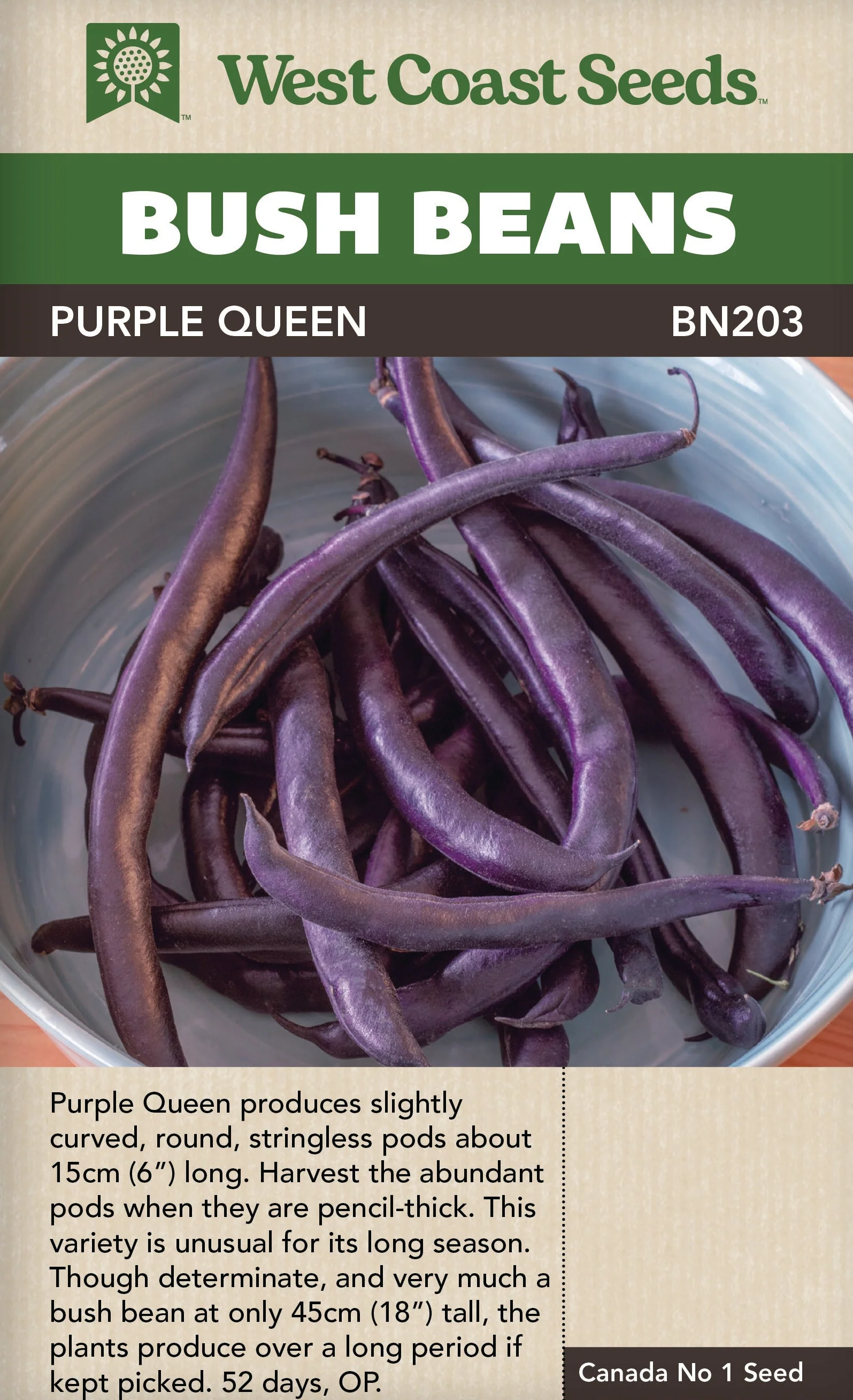 Bean Purple Queen Bush - West Coast Seeds