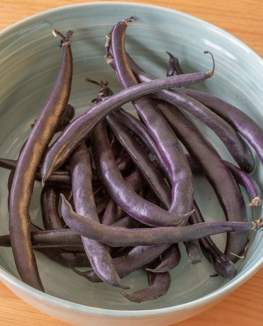 Bean Purple Queen Bush - West Coast Seeds - Image 2