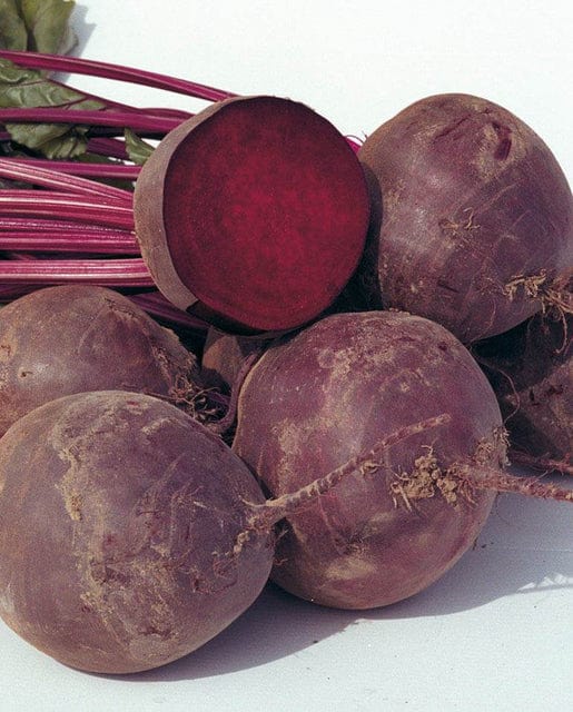 Organic Beet Boro - West Coast Seeds - Image 2