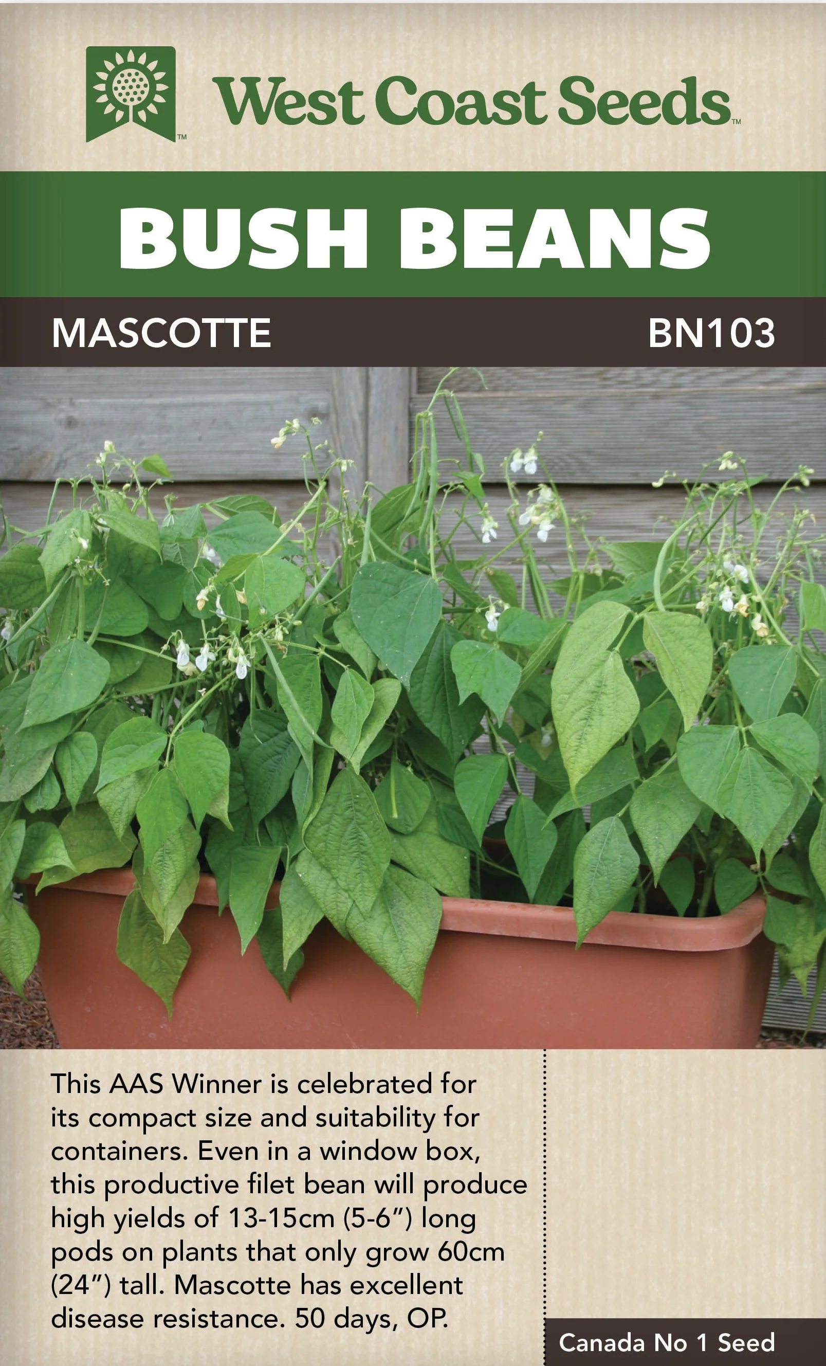 Bean Mascotte Bush - West Coast Seeds