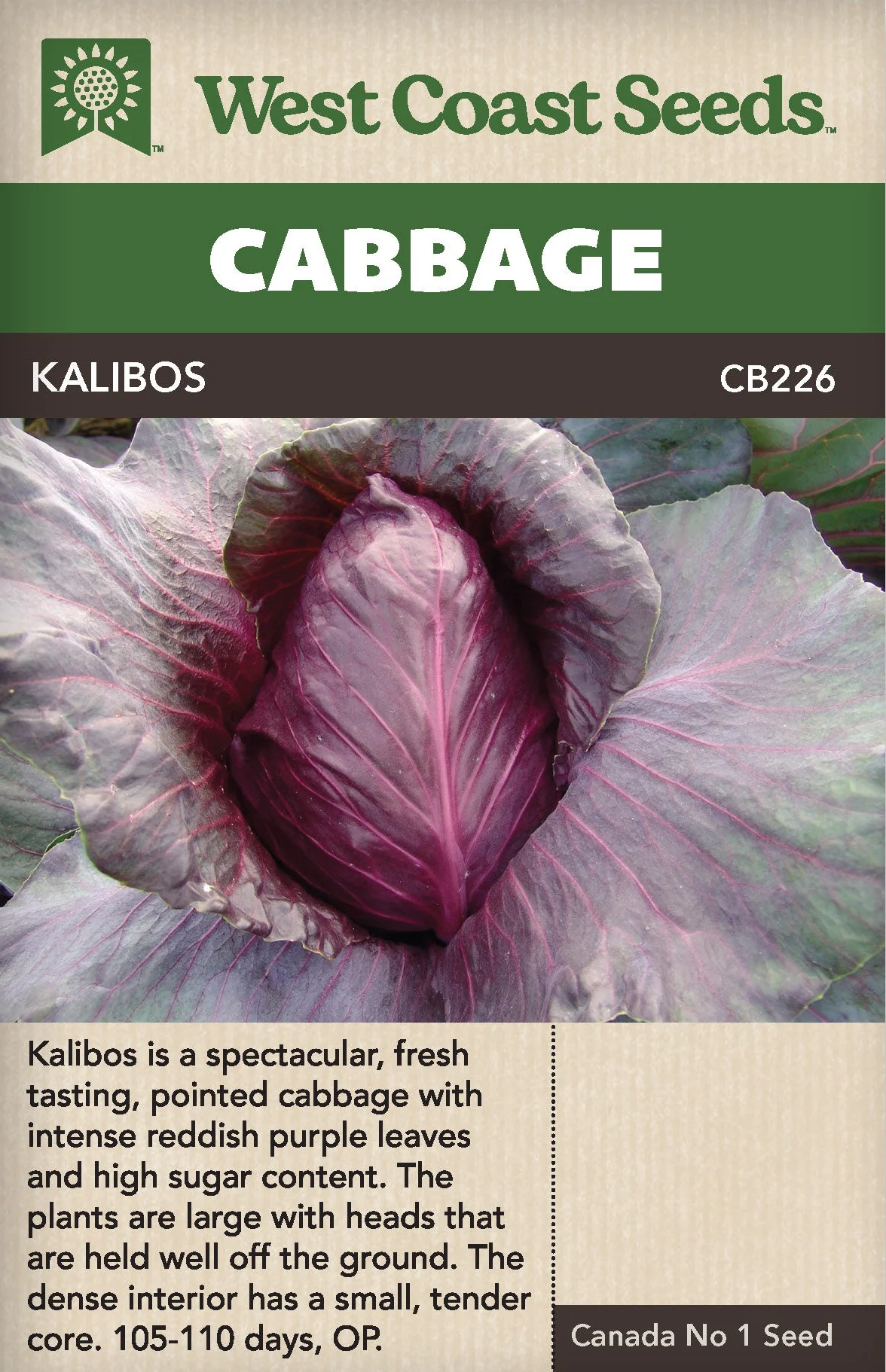 Cabbage Kalibos - West Coast Seeds