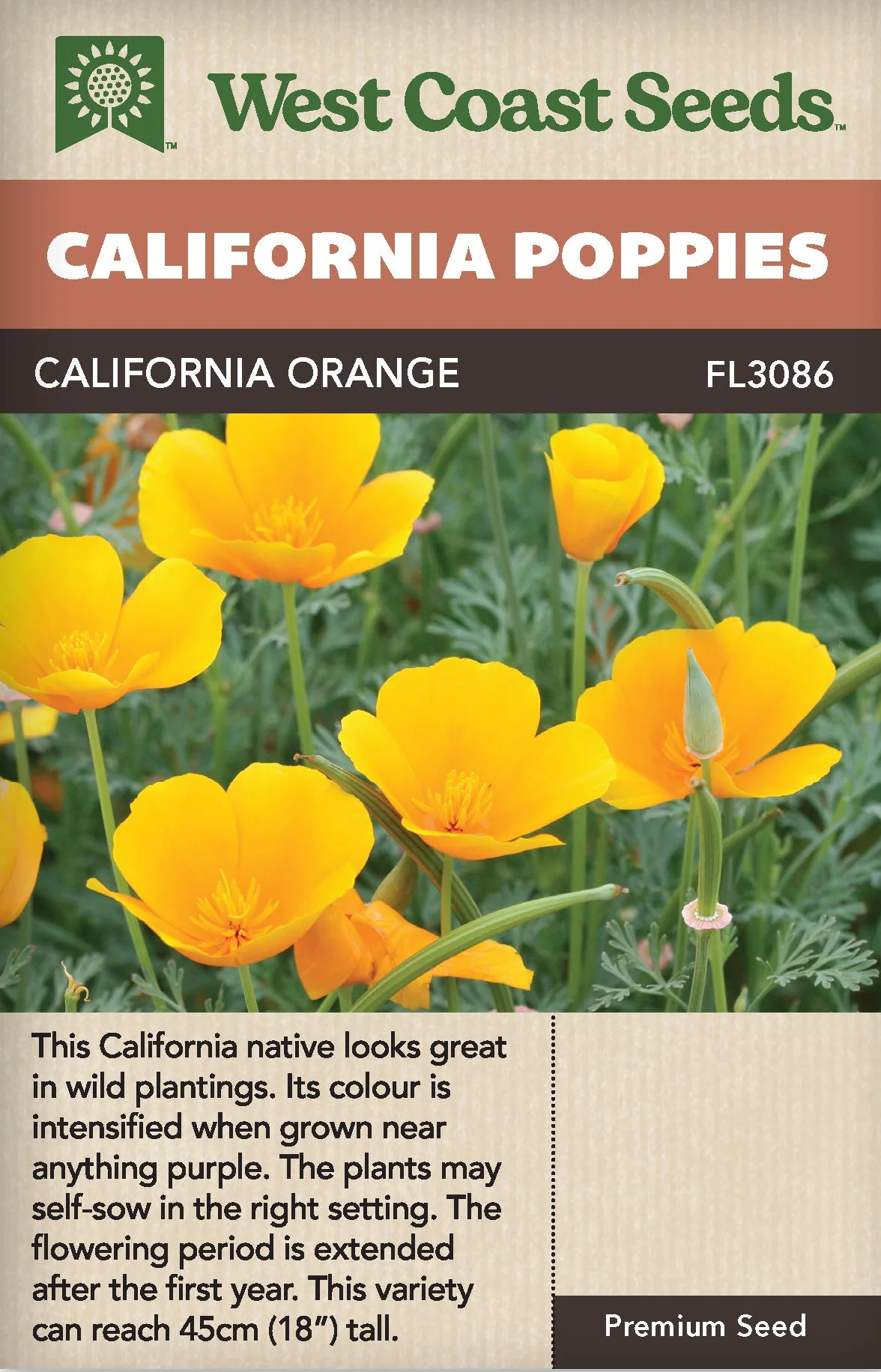 California Poppy Orange - West Coast Seeds