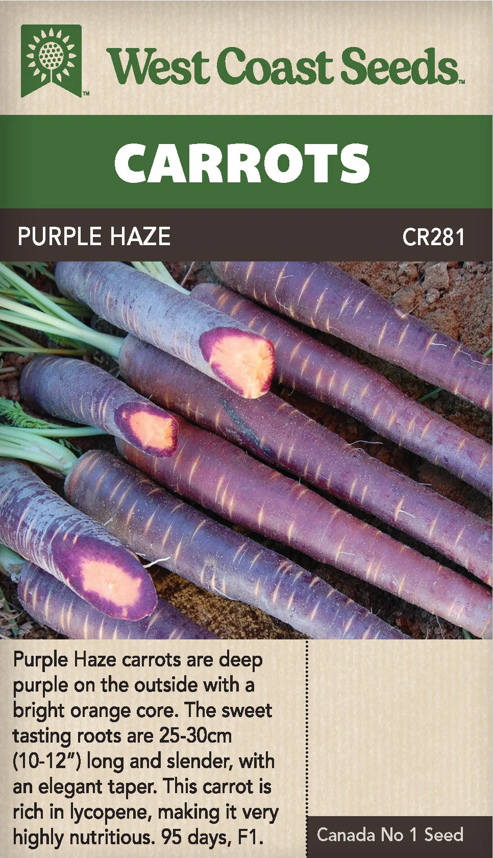 Carrot Purple Haze - West Coast Seeds
