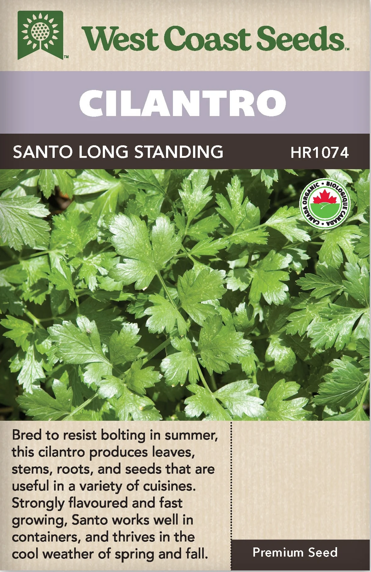 Organic Cilantro Santo - West Coast Seeds