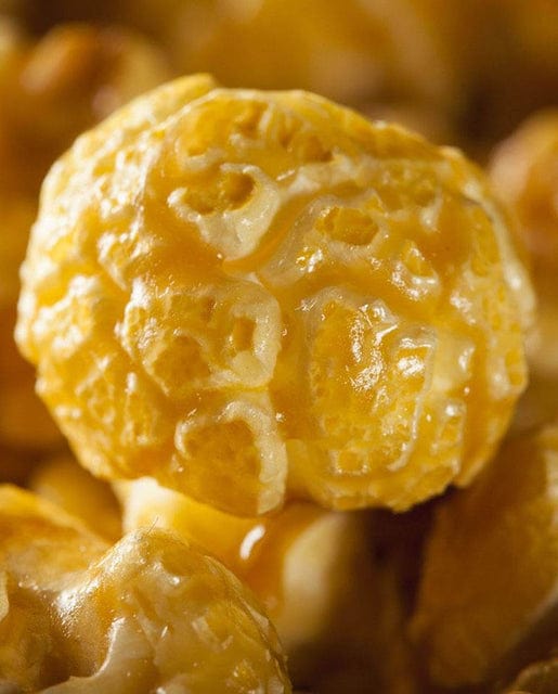 Corn Caramel Crisp - West Coast Seeds - Image 3