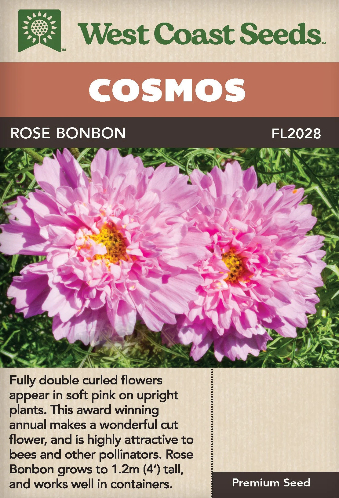 Cosmos Rose Bon Bon - West Coast Seeds