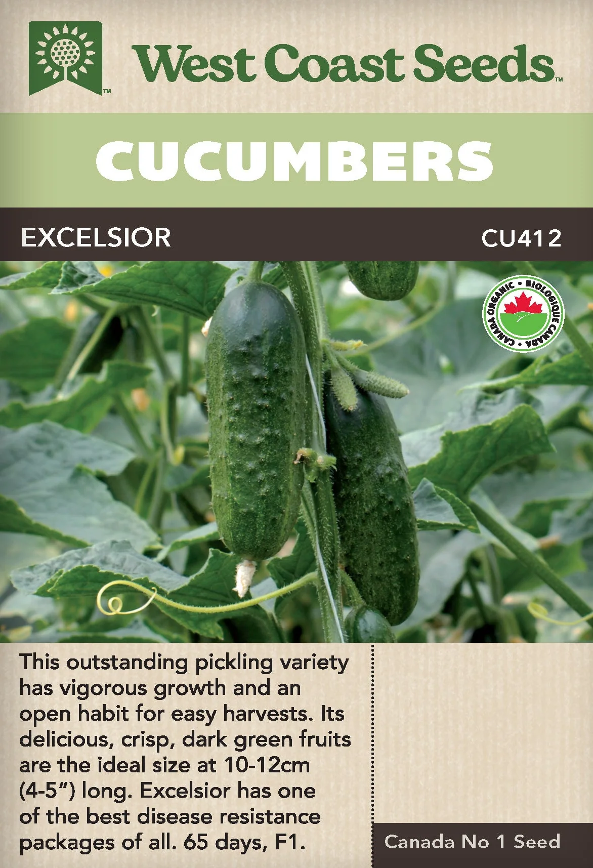 Organic Cucumbers Excelsior - West Coast Seeds