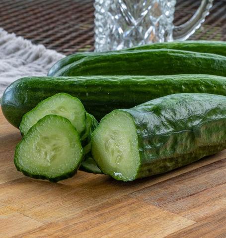Cucumber Mercury - West Coast Seeds - Image 2
