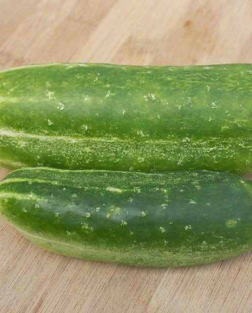 Cucumber Wisconsin SMR-58 - West Coast Seeds - Image 2