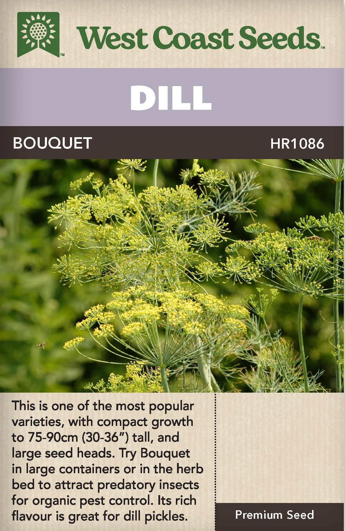 Dill Bouquet - West Coast Seeds