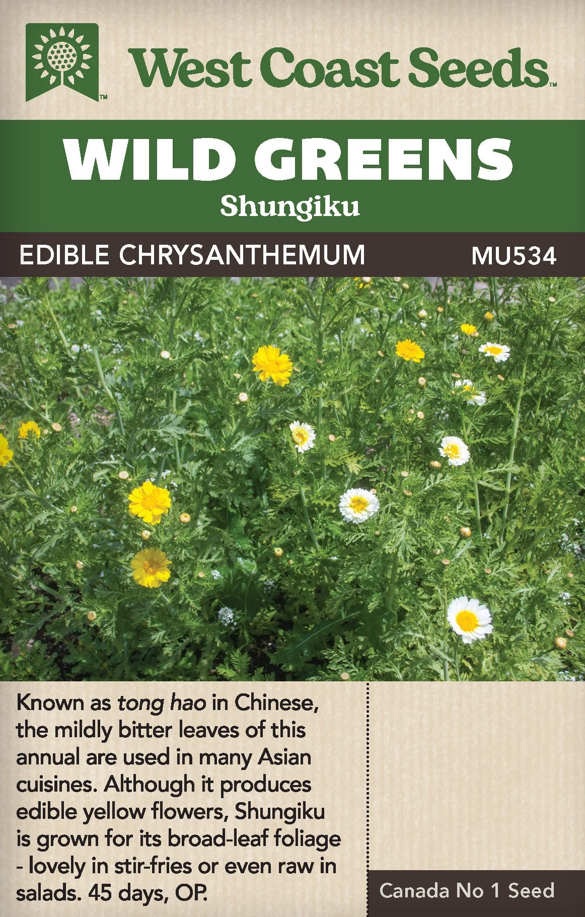 Wild Greens Edible Chrysanthemum Shungiku - West Coast Seeds