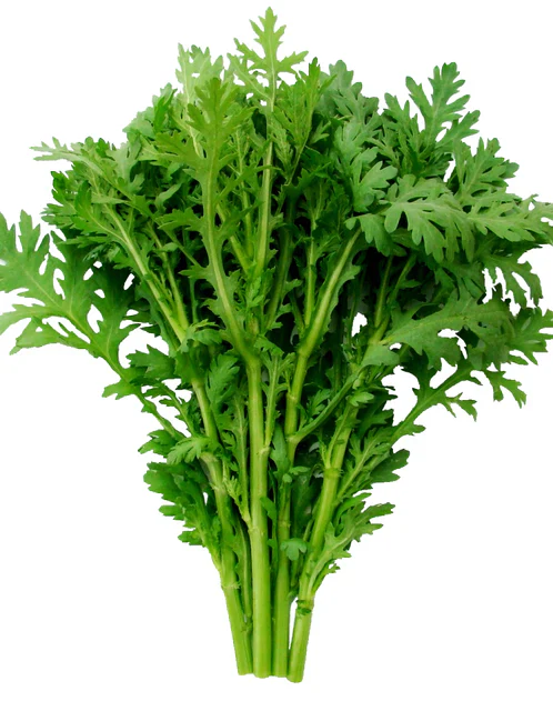 Wild Greens Edible Chrysanthemum Shungiku - West Coast Seeds - Image 3