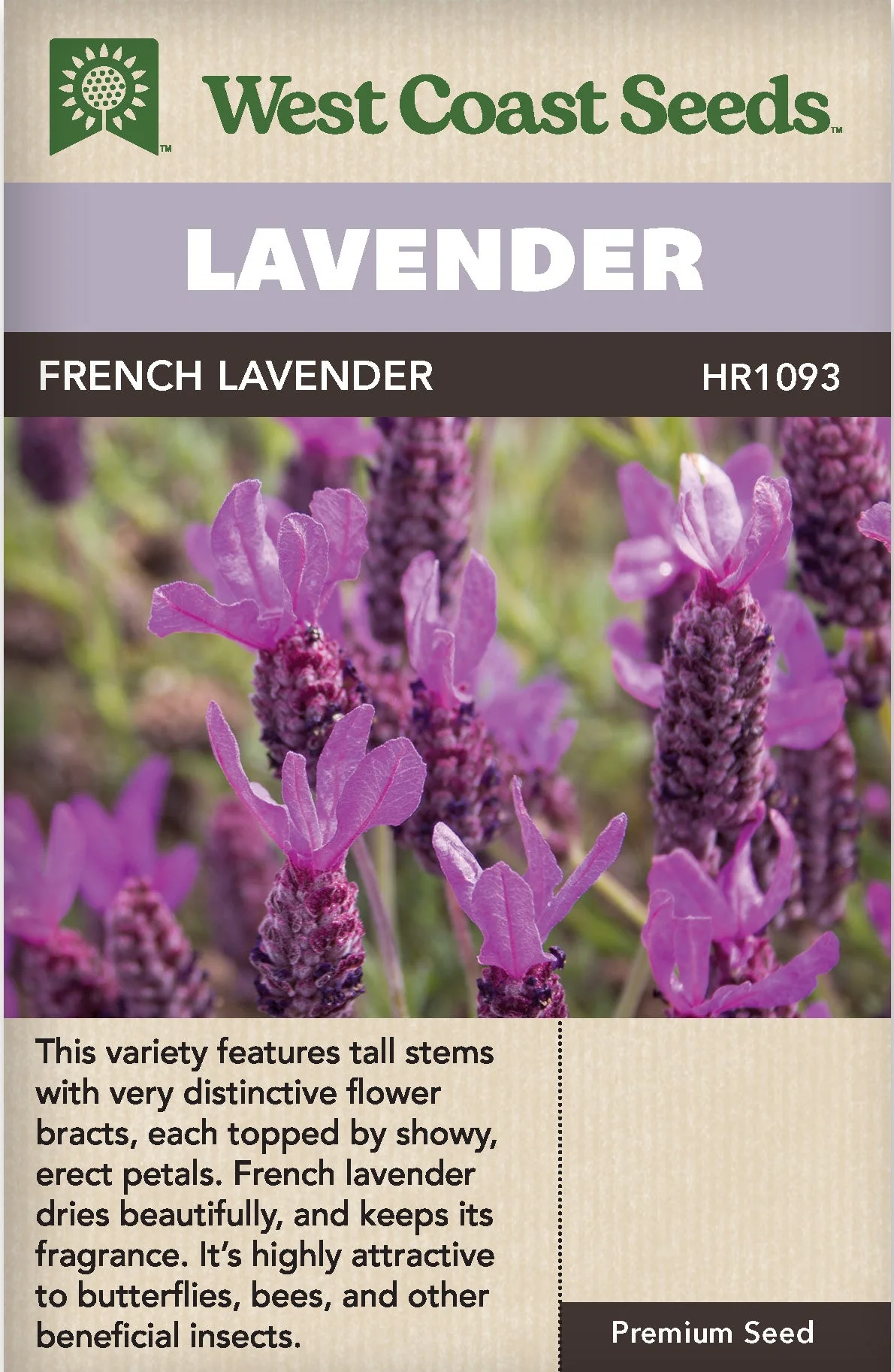 Lavender French - West Coast Seeds