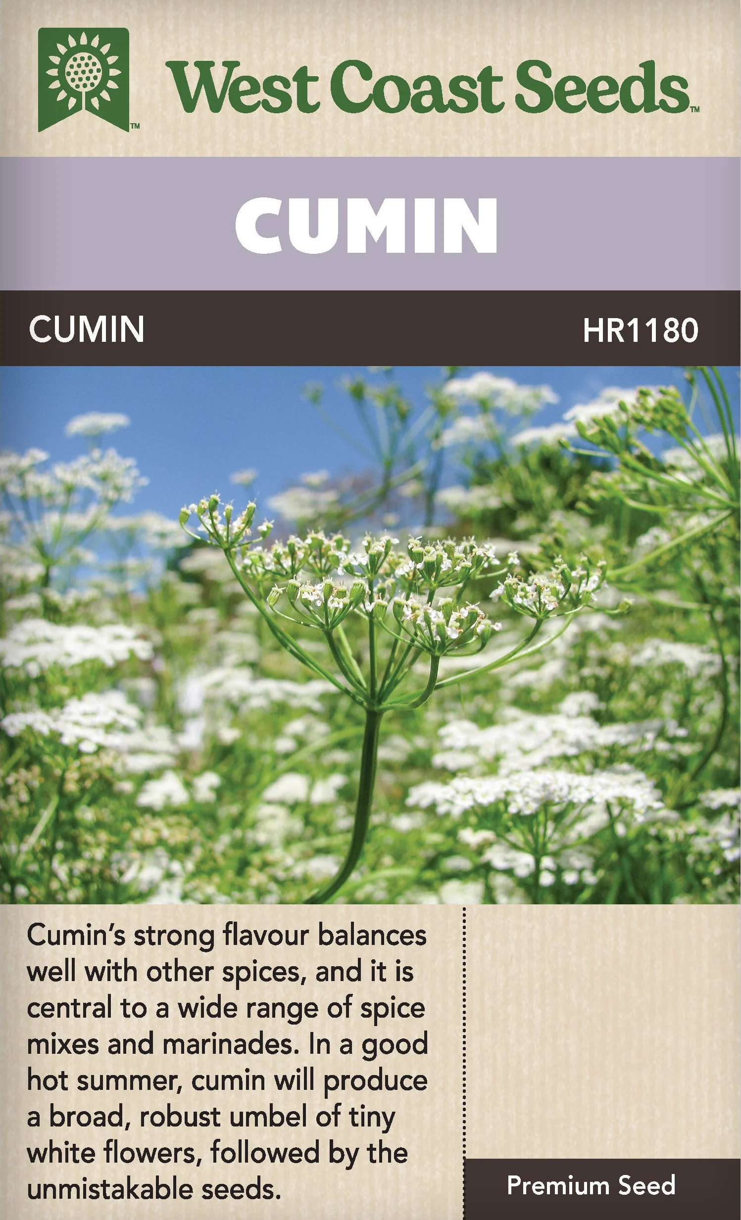 Cumin - West Coast Seeds