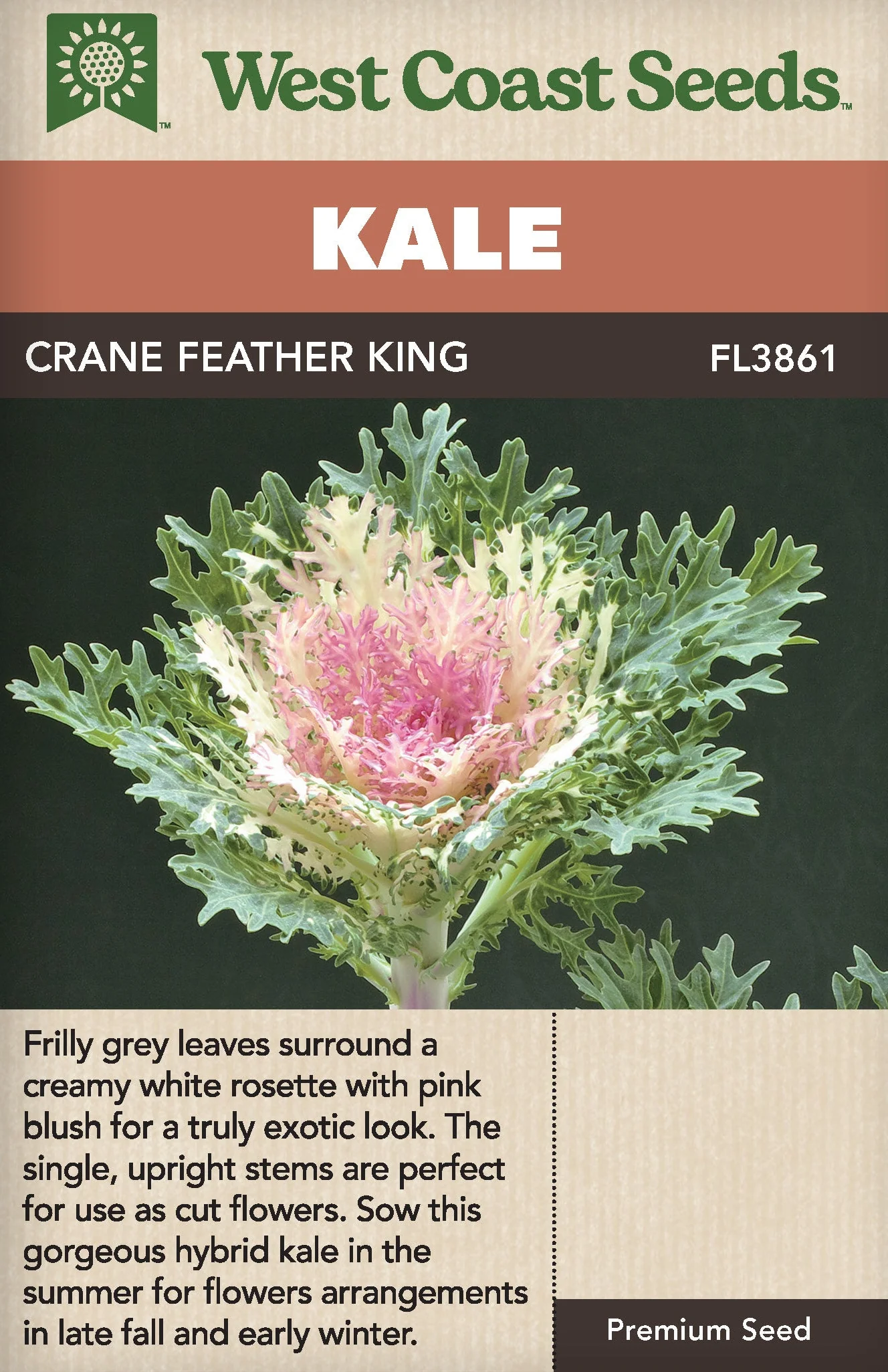 Kale Crane Feather King - West Coast Seeds