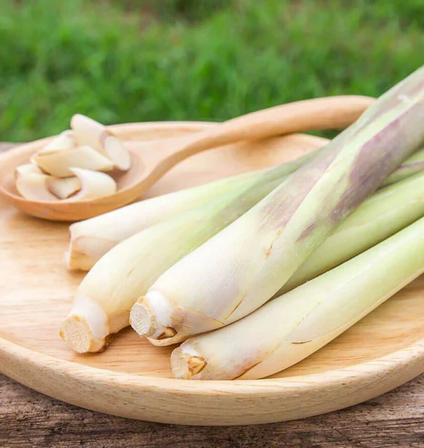 Lemongrass - West Coast Seeds - Image 3