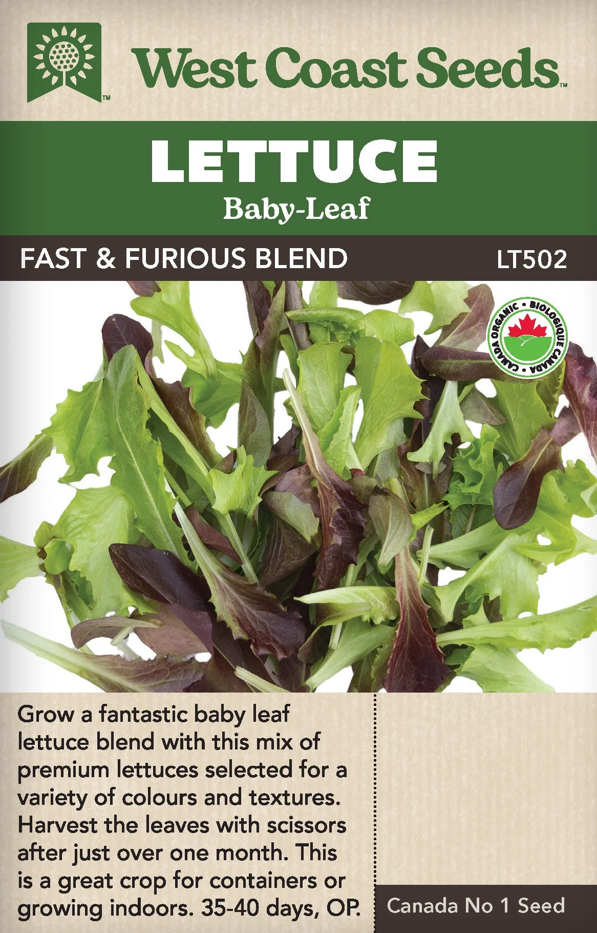 Organic Lettuce Fast & Furious - West Coast Seeds