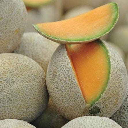 Cantaloupe Home Run - West Coast Seeds - Image 2