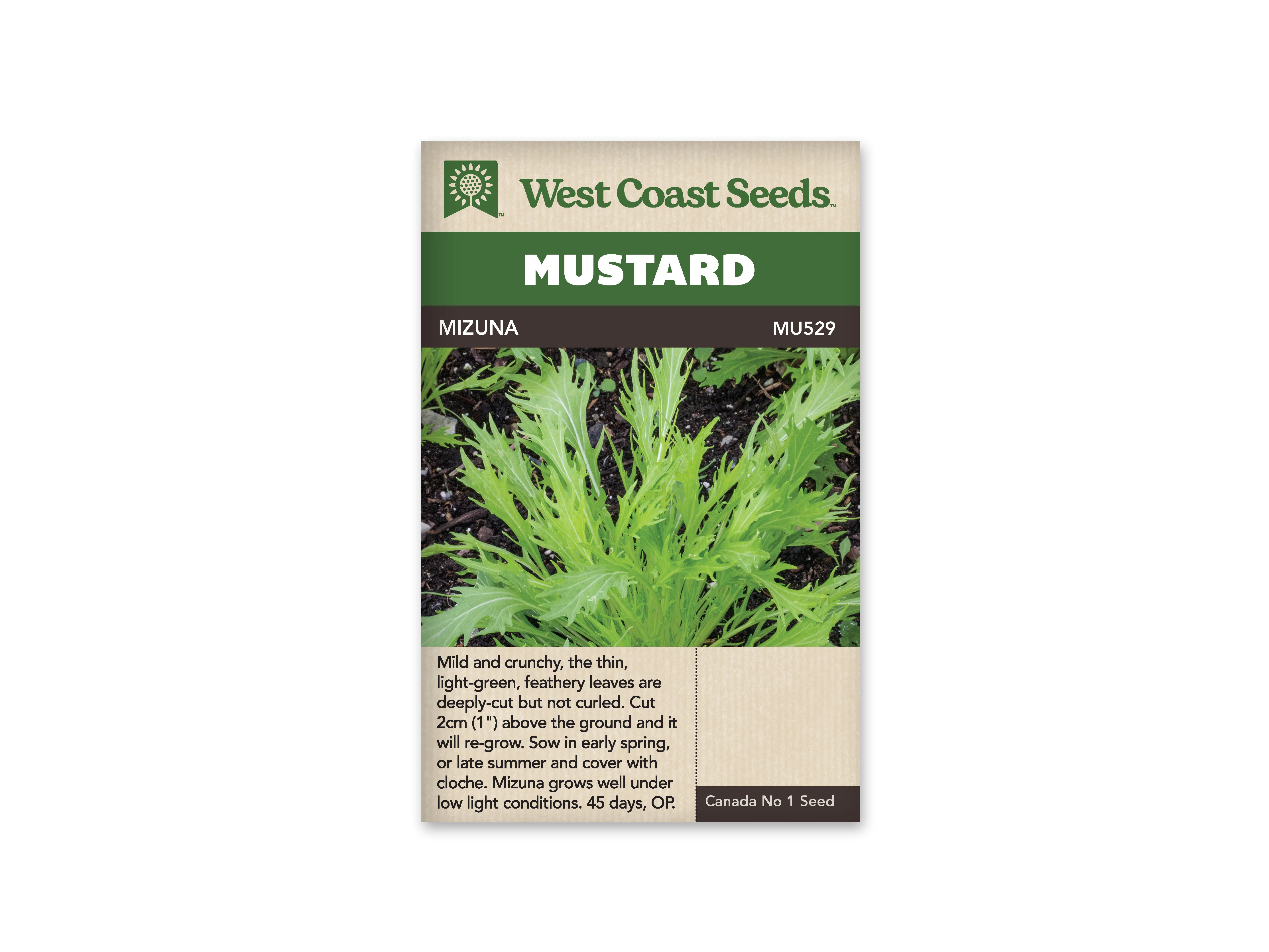 Mustard Mizuna - West Coast Seeds - Image 3