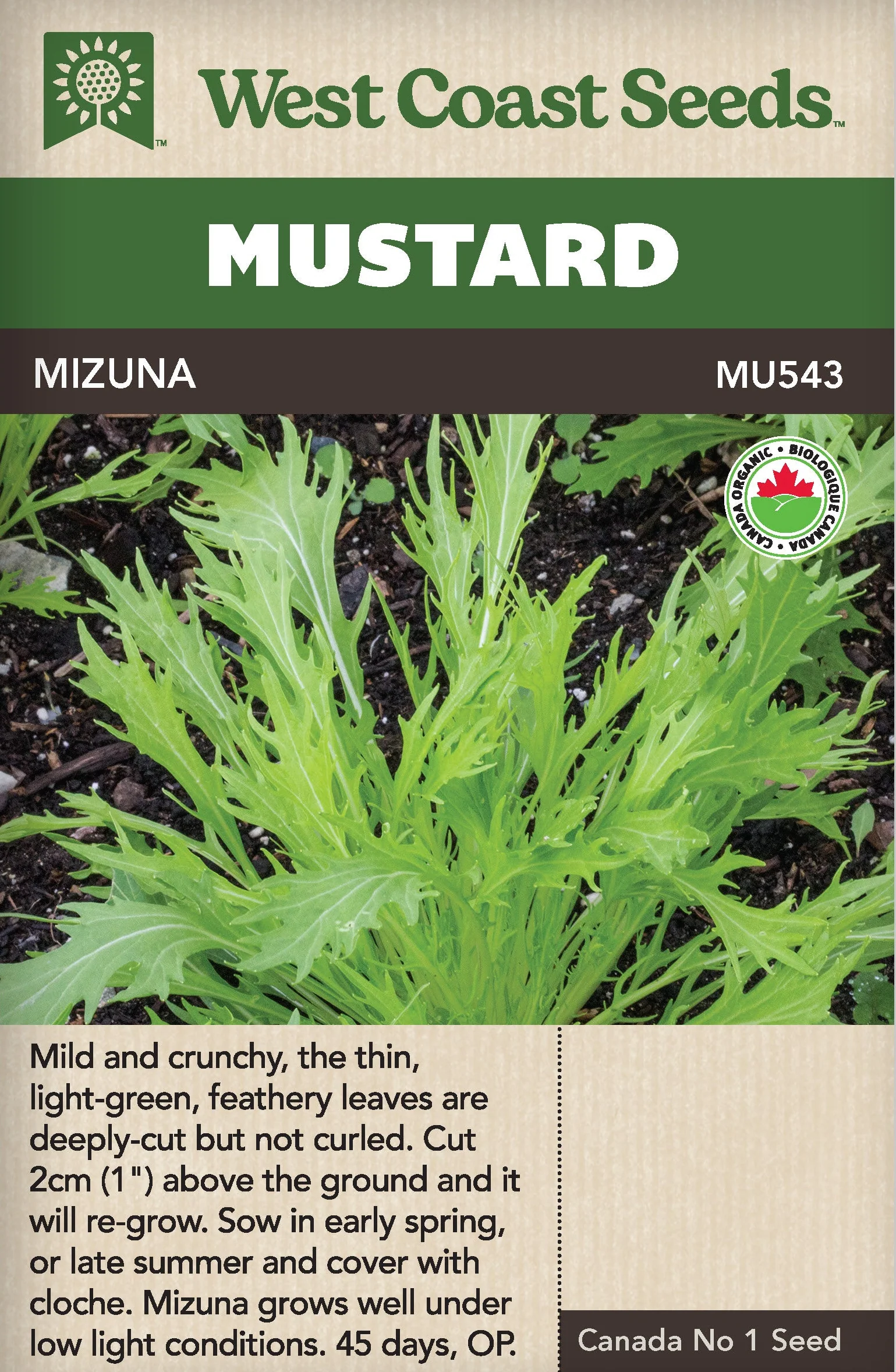 Organic Mustard Mizuna - West Coast Seeds