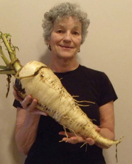 Parsnip Gladiator - West Coast Seeds - Image 3