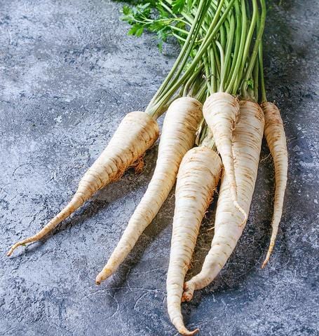 Organic Parsnip Tender and True - West Coast Seeds - Image 2