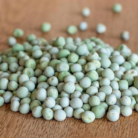 Pea Alaska Shelling - West Coast Seeds - Image 2