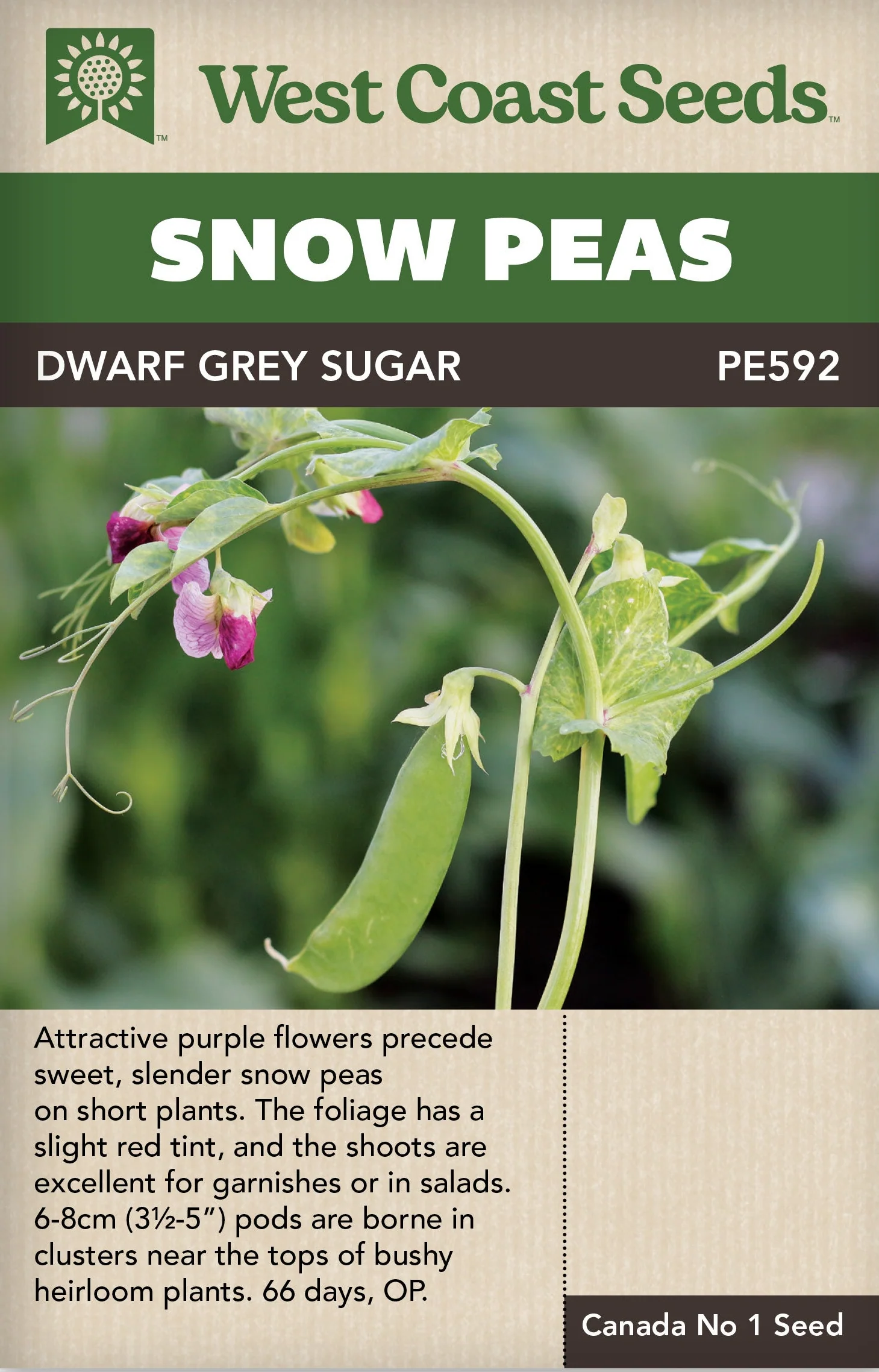 Pea Dwarf Grey Sugar - West Coast Seeds