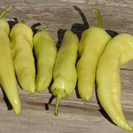 Pepper Hungarian Hot Wax - West Coast Seeds - Image 3