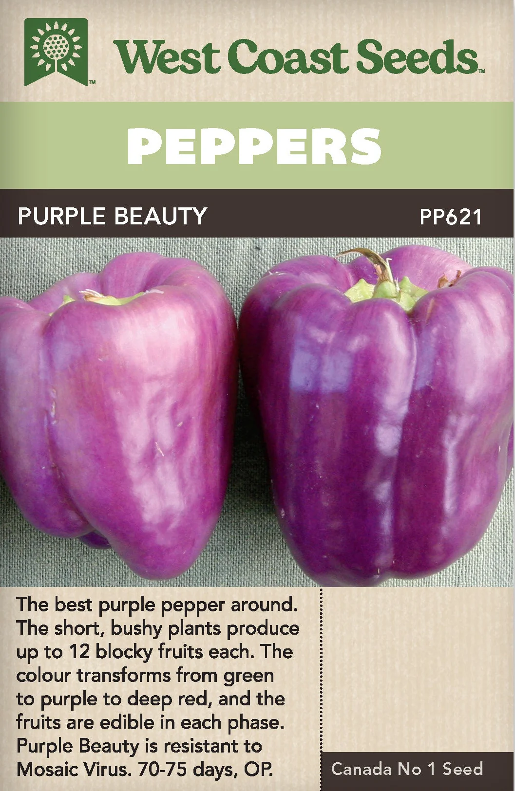 Pepper Purple Beauty - West Coast Seeds