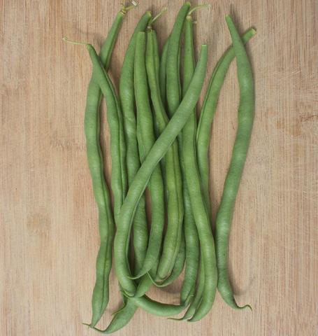 Bean Matilda Pole - West Coast Seeds - Image 2