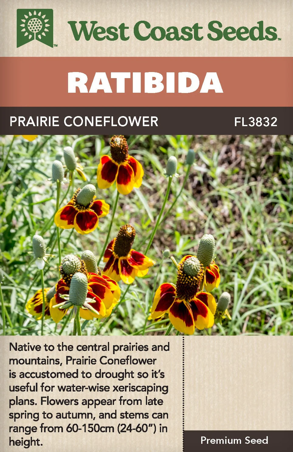 Ratibida - Coneflower Prairie - West Coast Seeds